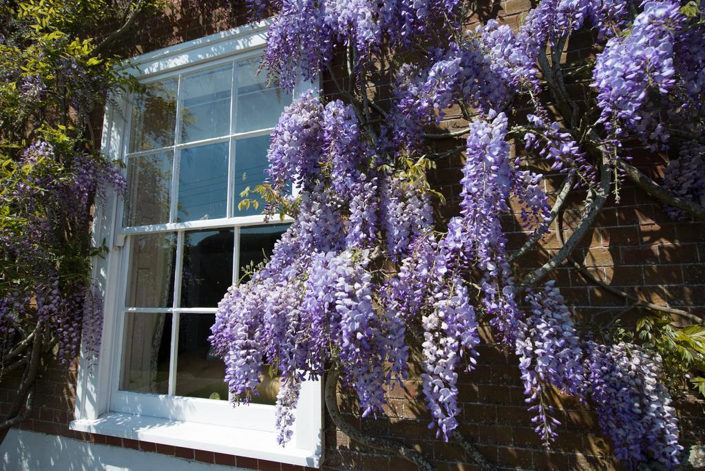 Boreham House Herstmonceux Exterior photo